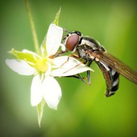 /album/edu-antona-romero1/photolia-a02-jpg/