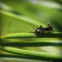 /album/edu-antona-romero1/photolia-a05-jpg/