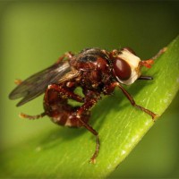 /album/edu-antona-romero1/photolia-a06-jpg/