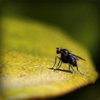 /album/edu-antona-romero1/photolia-a07-jpg/