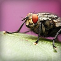 /album/edu-antona-romero1/photolia-a08-jpg/